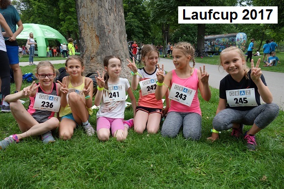 Laufcup2017